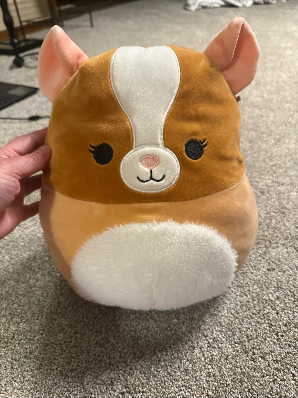 Tan/white Squishmallow hamster - smoke free home and no marks, tips, stains